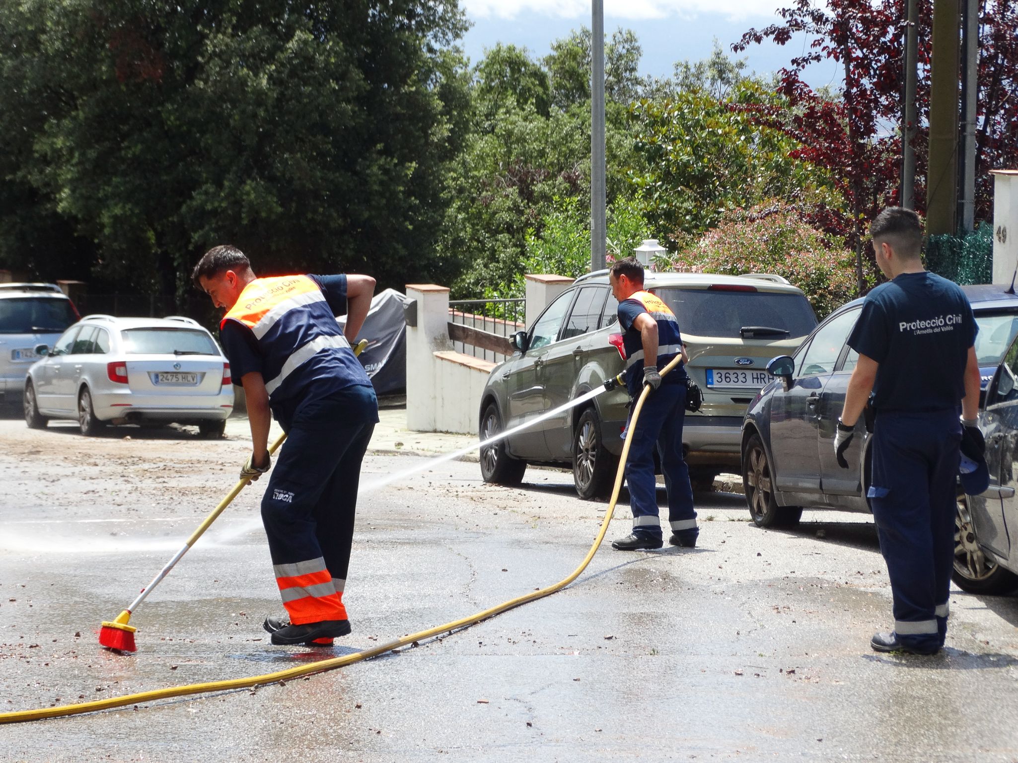 PROTE IMPRIMIR 30X40 25
